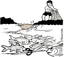 cartoon