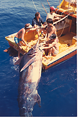 Teen catches 1,058-pound blue marlin off Hawaiian coast